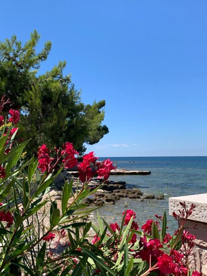 Apartments Valentina Ουμάγκ Εξωτερικό φωτογραφία